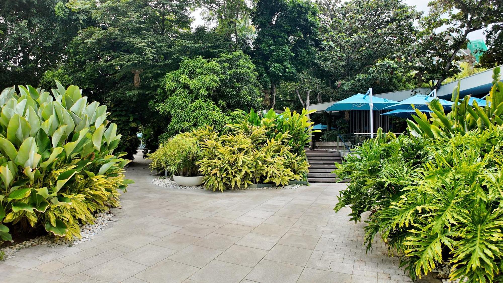 Dominiks Stylish Resort Gem Ocean View Pool Queen Bed At Tambuli 8 Floor Fast Wifi Lapu-Lapu City Esterno foto